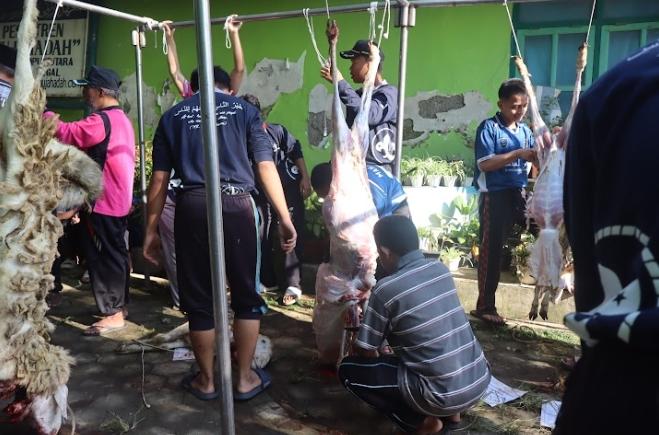 Khidmat dan Penuh Kebersamaan, Pondok Pesantren Darul Mujahadah Rayakan Idul Adha 1447 