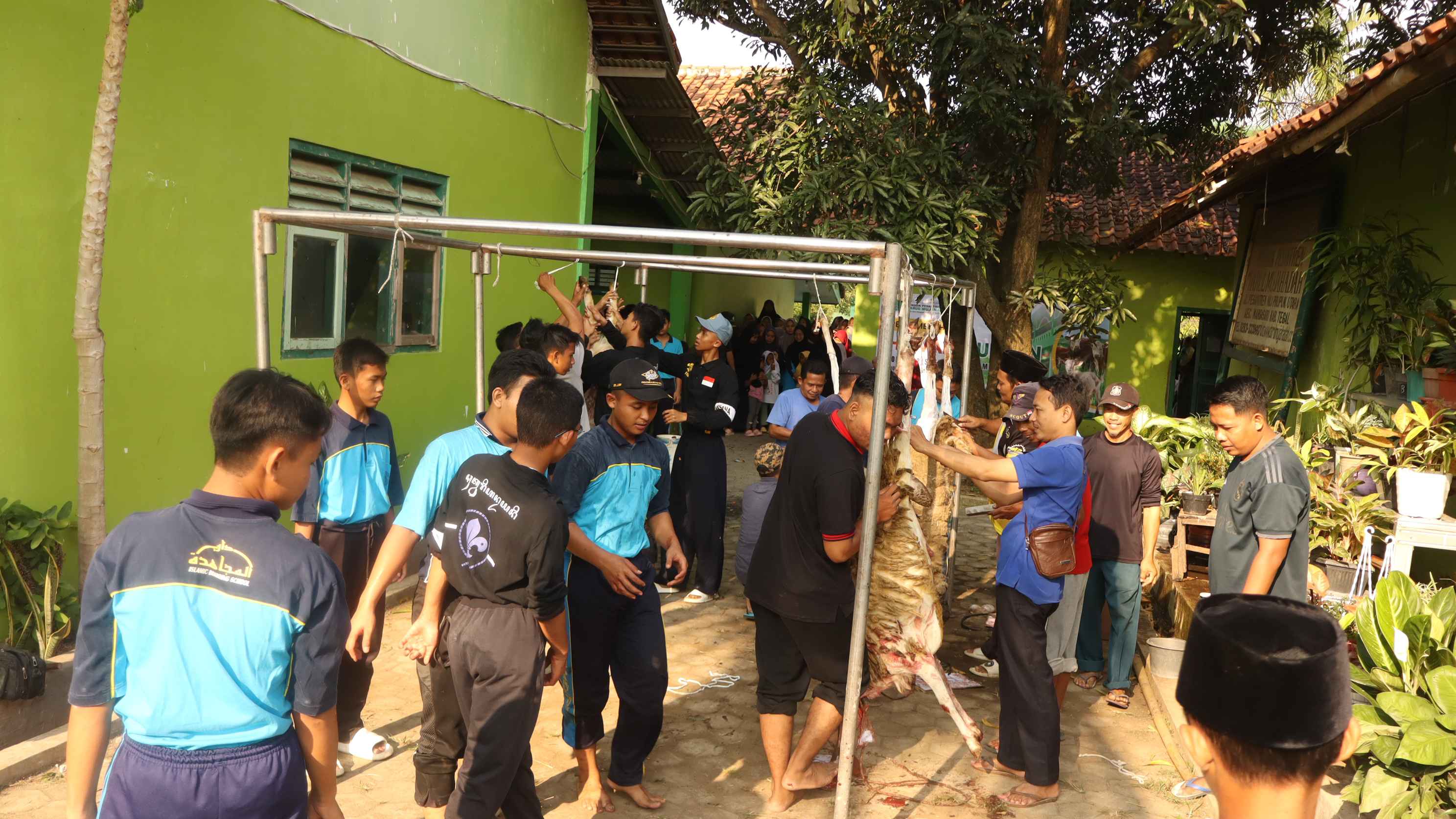 Tertib dan Penuh Makna, Pemotongan Hewan Qurban di Ponpes Darul Mujahadah Berjalan Lancar