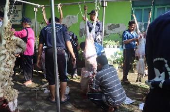 Khidmat dan Penuh Kebersamaan, Pondok Pesantren Darul Mujahadah Rayakan Idul Adha 1447 